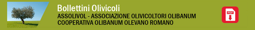 bollettini-olivicoli